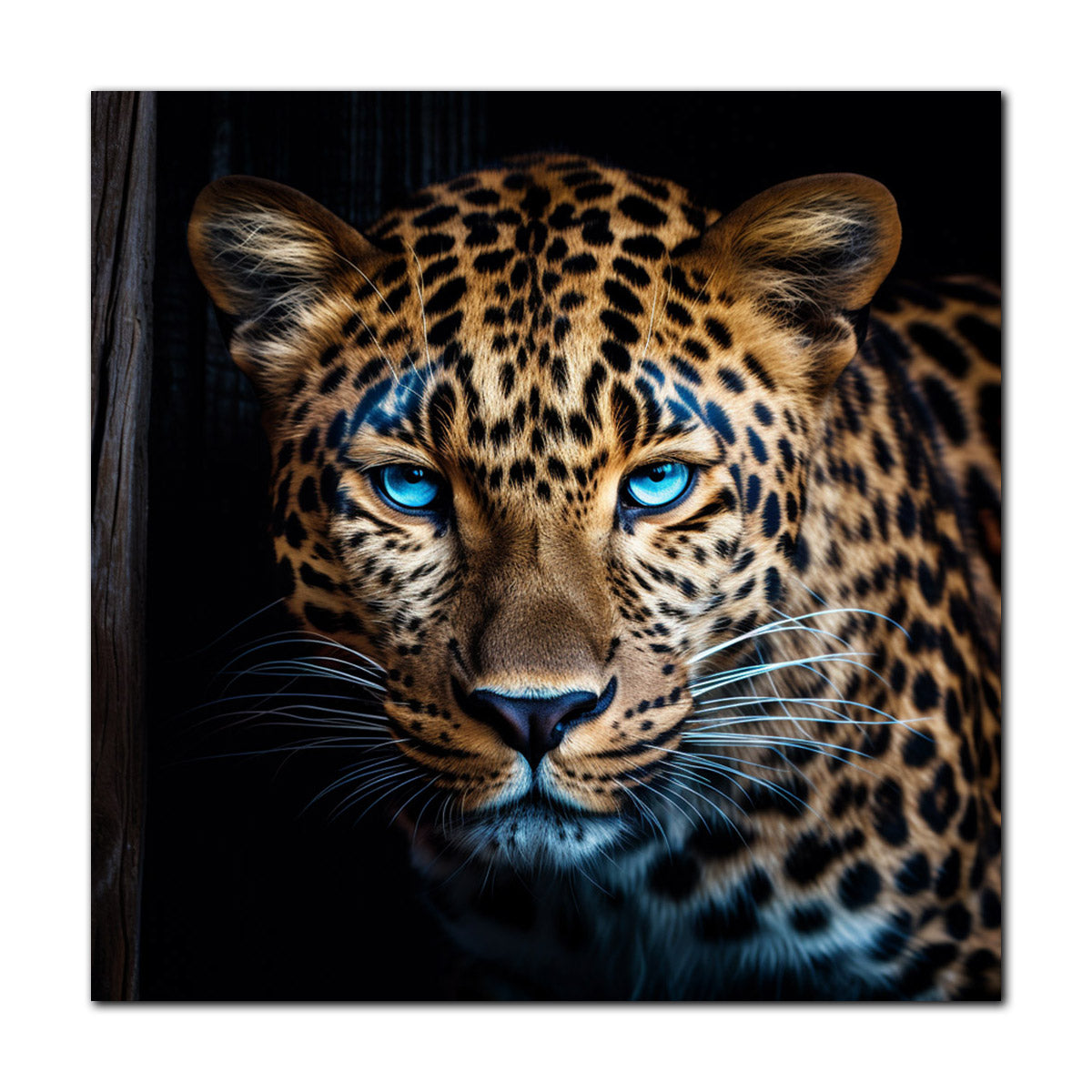 Leinwand Canvas Kunstdruck Leopard Schwarz